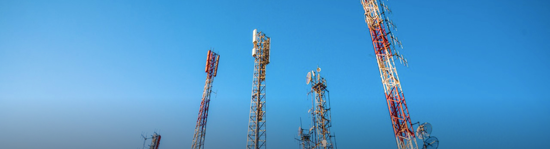 Frame 1618875120.jpg